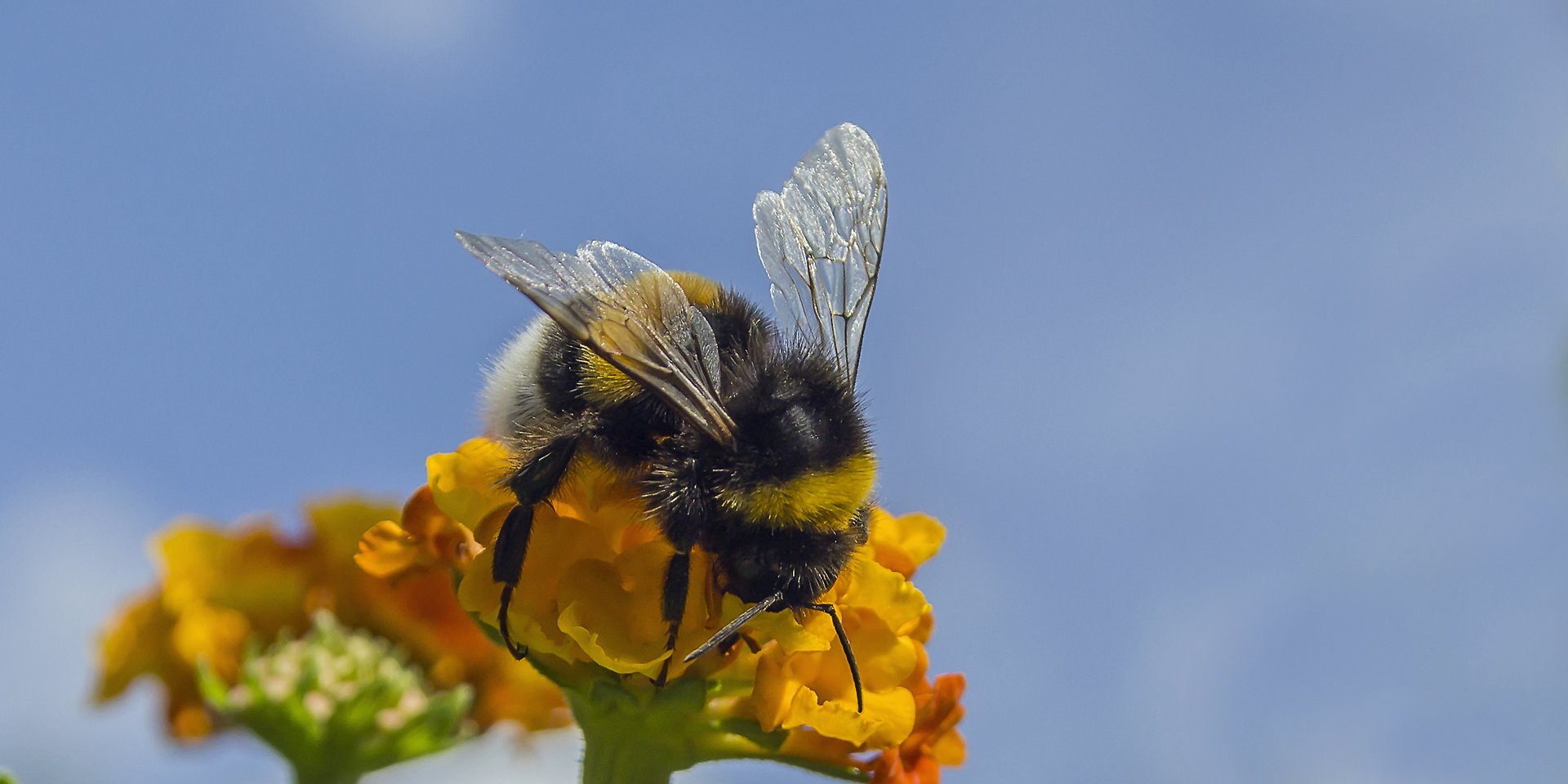 Foto: Wilfried Jürries